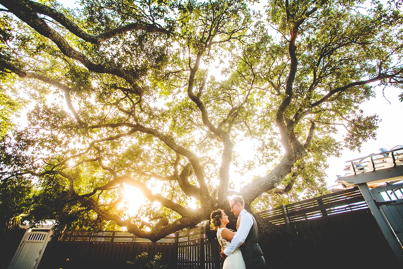 that tree though.JPG