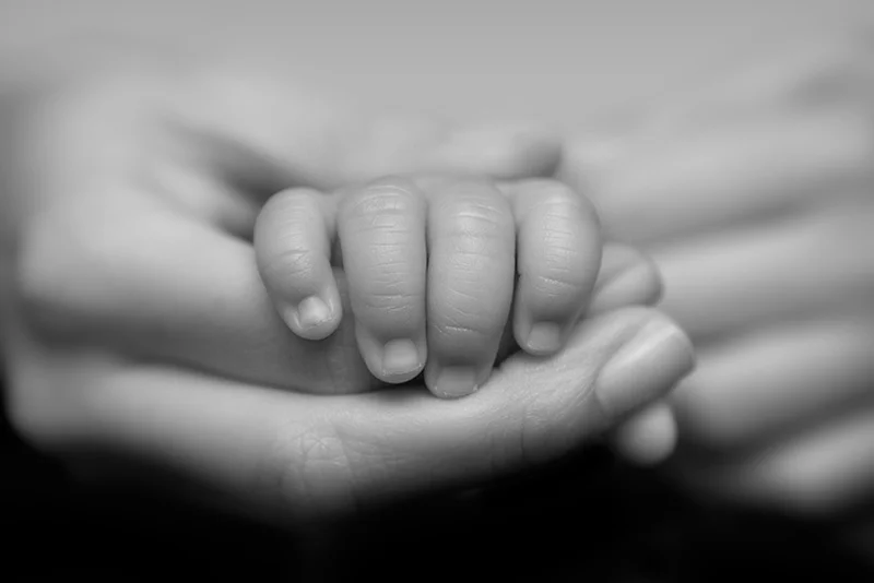 adoption