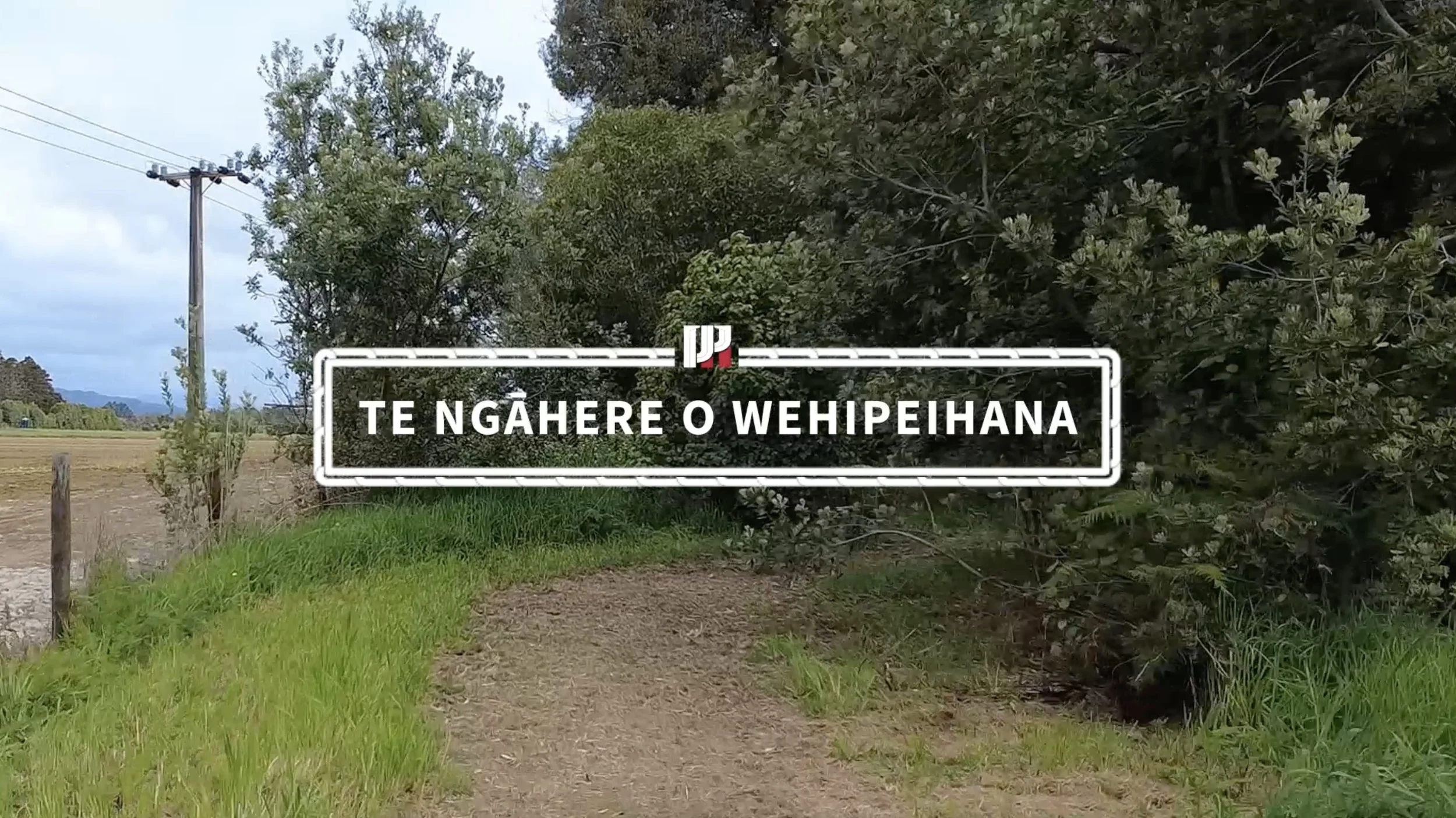 Whānau Planting Day '25