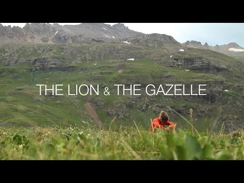 The Lion & The Gazelle