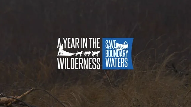 Bear Witness: A Year in the Wilderness