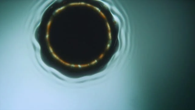 Unencumbered by the Effects of Gravity