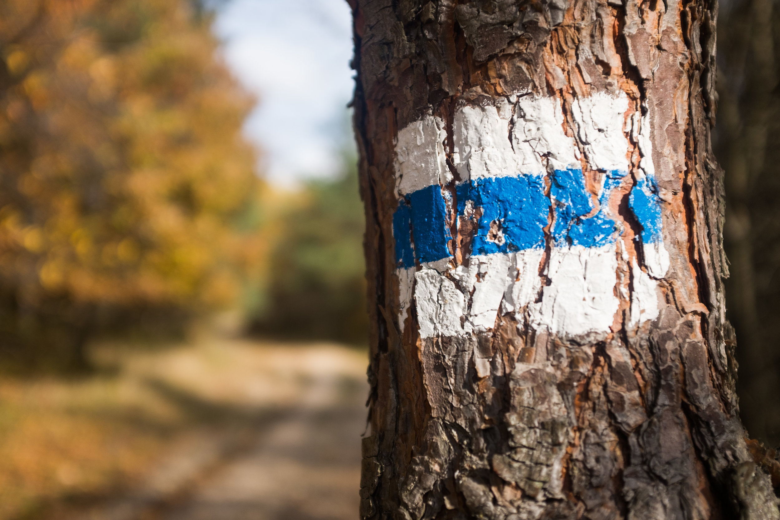 The National Blue Trail is well marked, but some of the smaller trails less so.