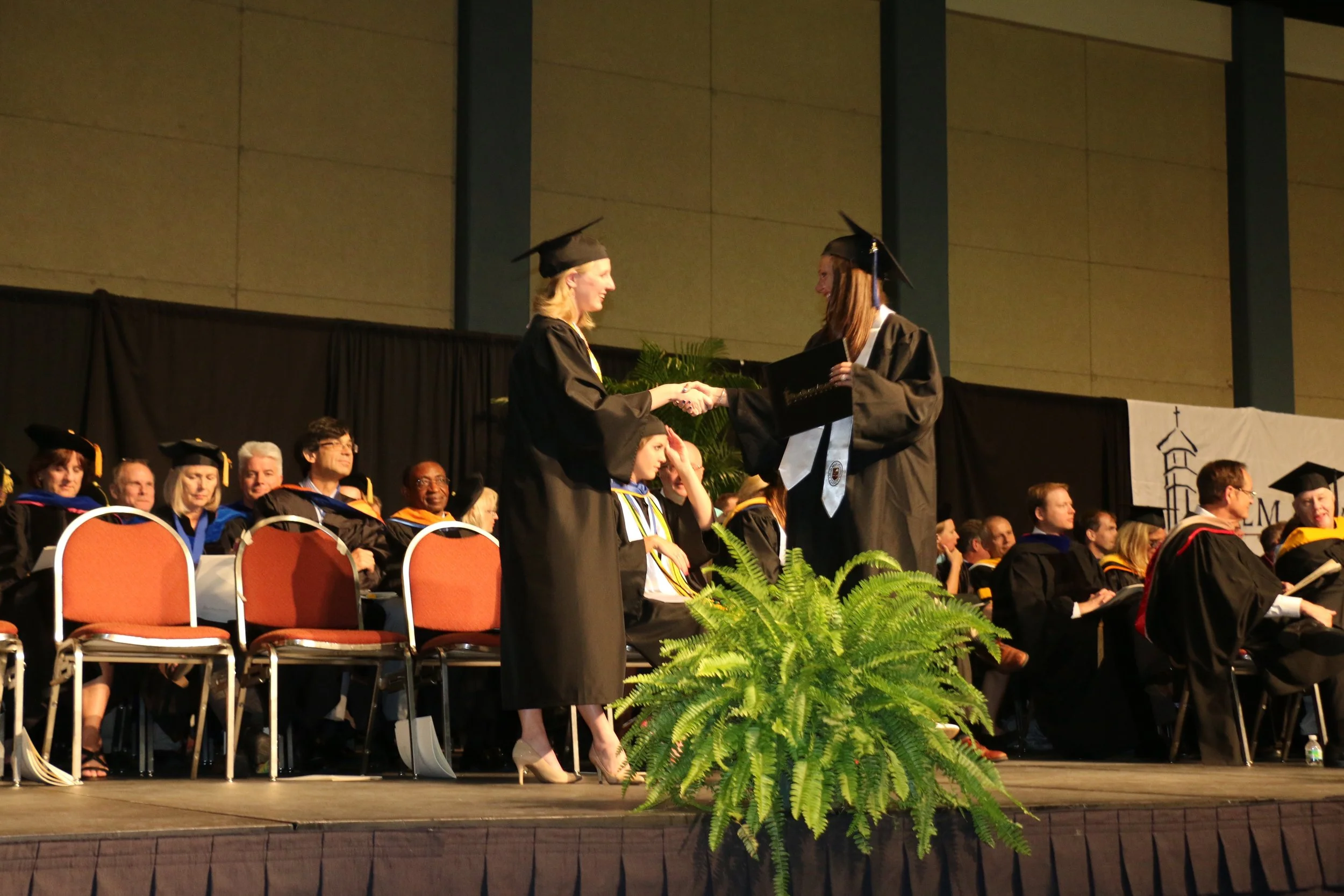 IMG_8528.jpg