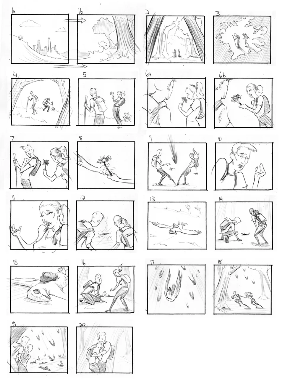 Falling from the sky.jpg