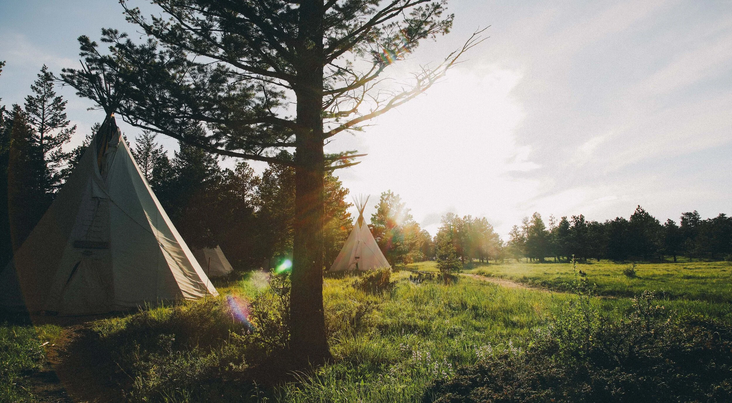 Q+A Session I w/ Scott