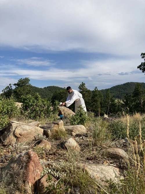 You Deserve to Wander