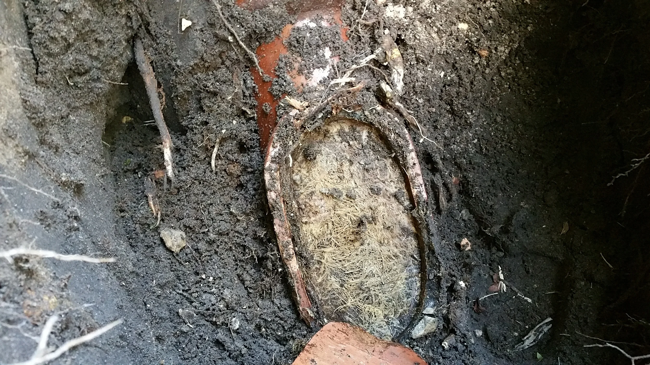 Blocked Pipes.jpg