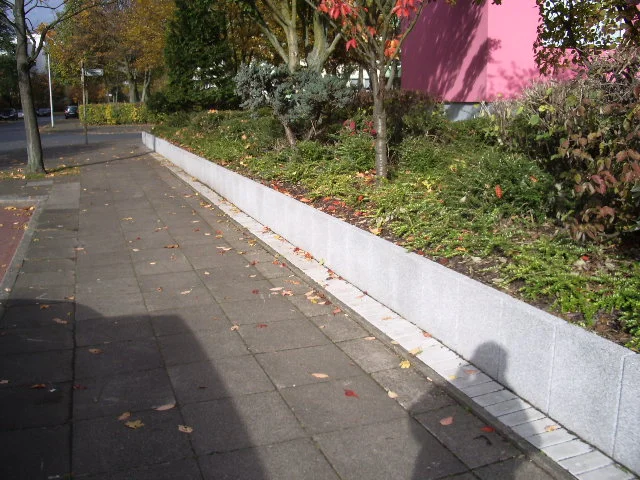 IMGP1470.JPG