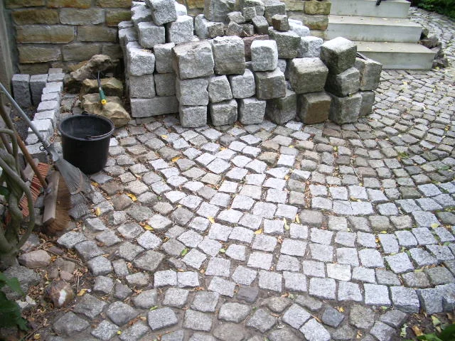 IMGP1172.JPG