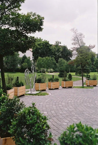 115-516x500.jpg