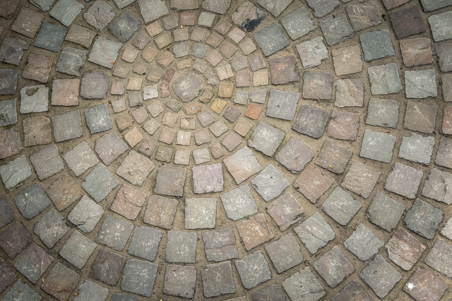 _7856-2.jpg