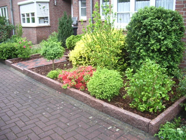 IMGP1618.JPG