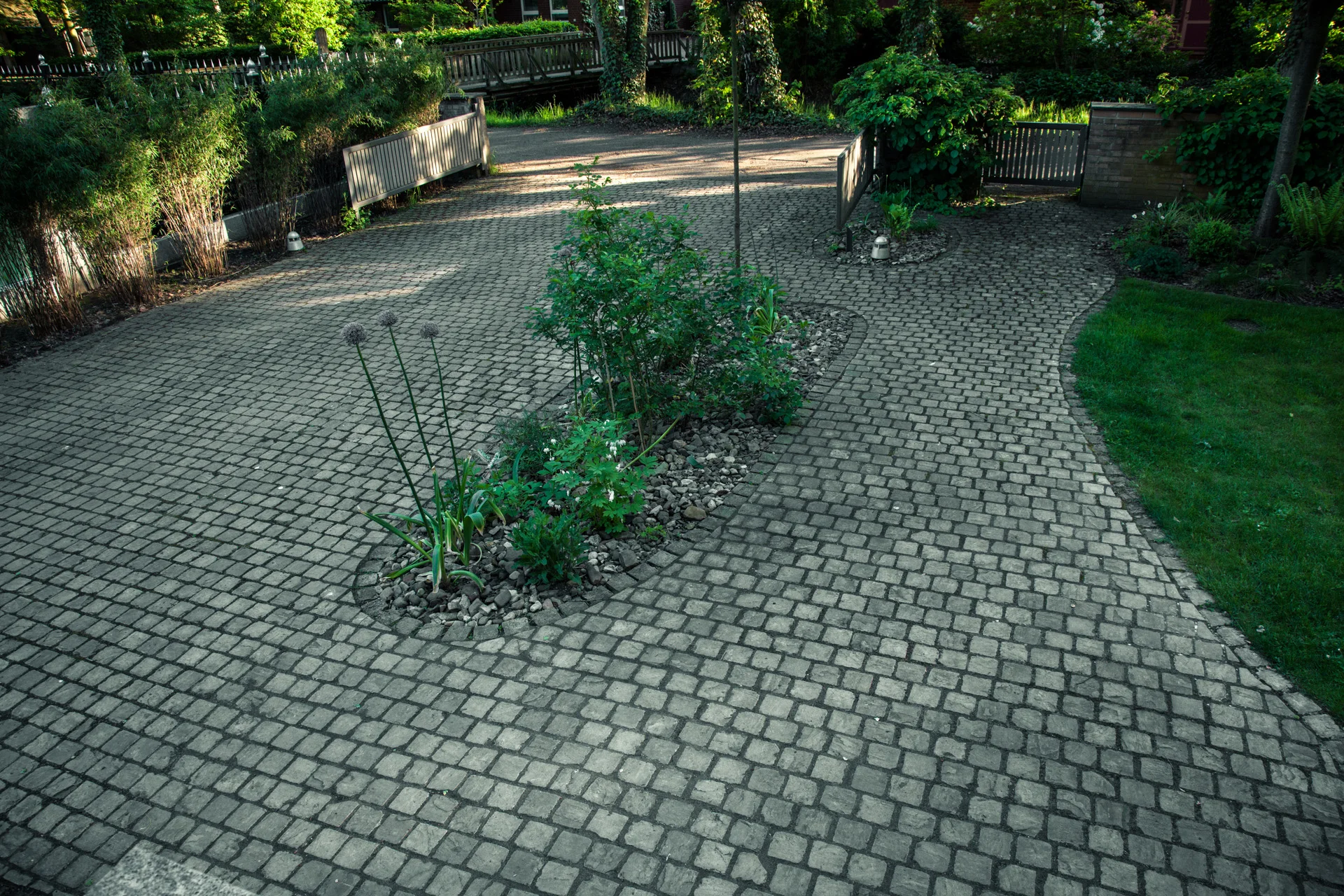 _8655.jpg