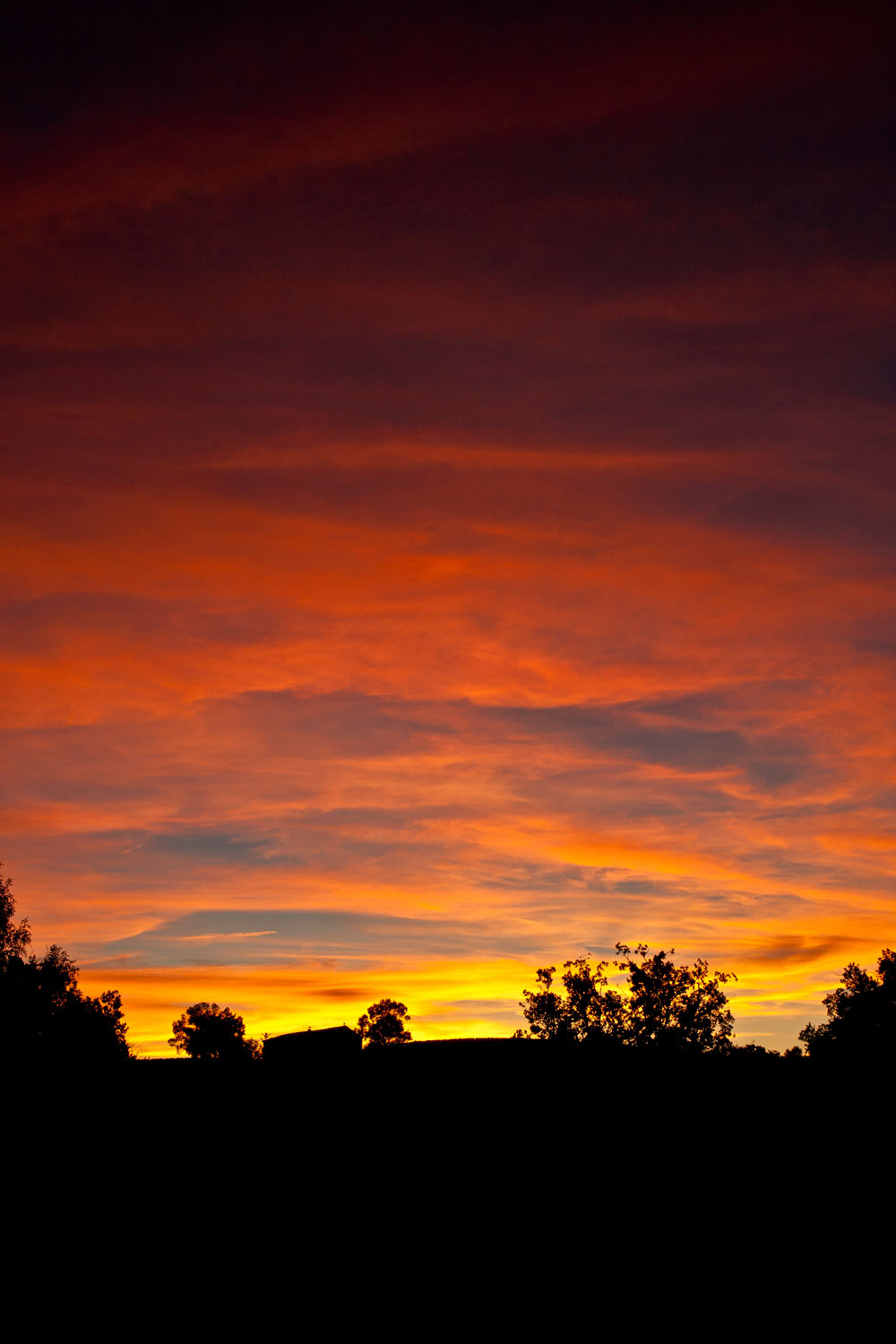 Sunset - Gaillac, France