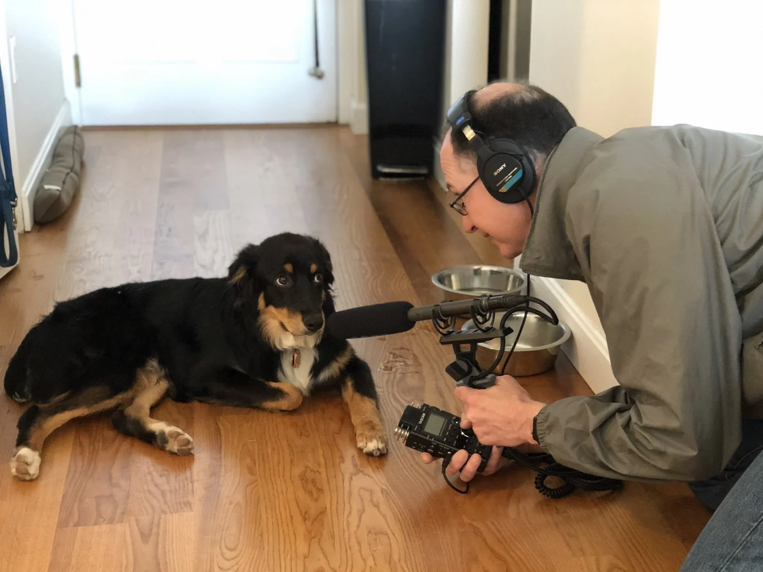 gryphon-microphone.jpg