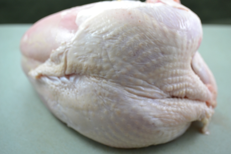 I started removing the bones at the ribs and slowly cut my way to the breasts bone and then did the same to the other side. I ended up with the full boneless turkey breast as you can see in the picture below.