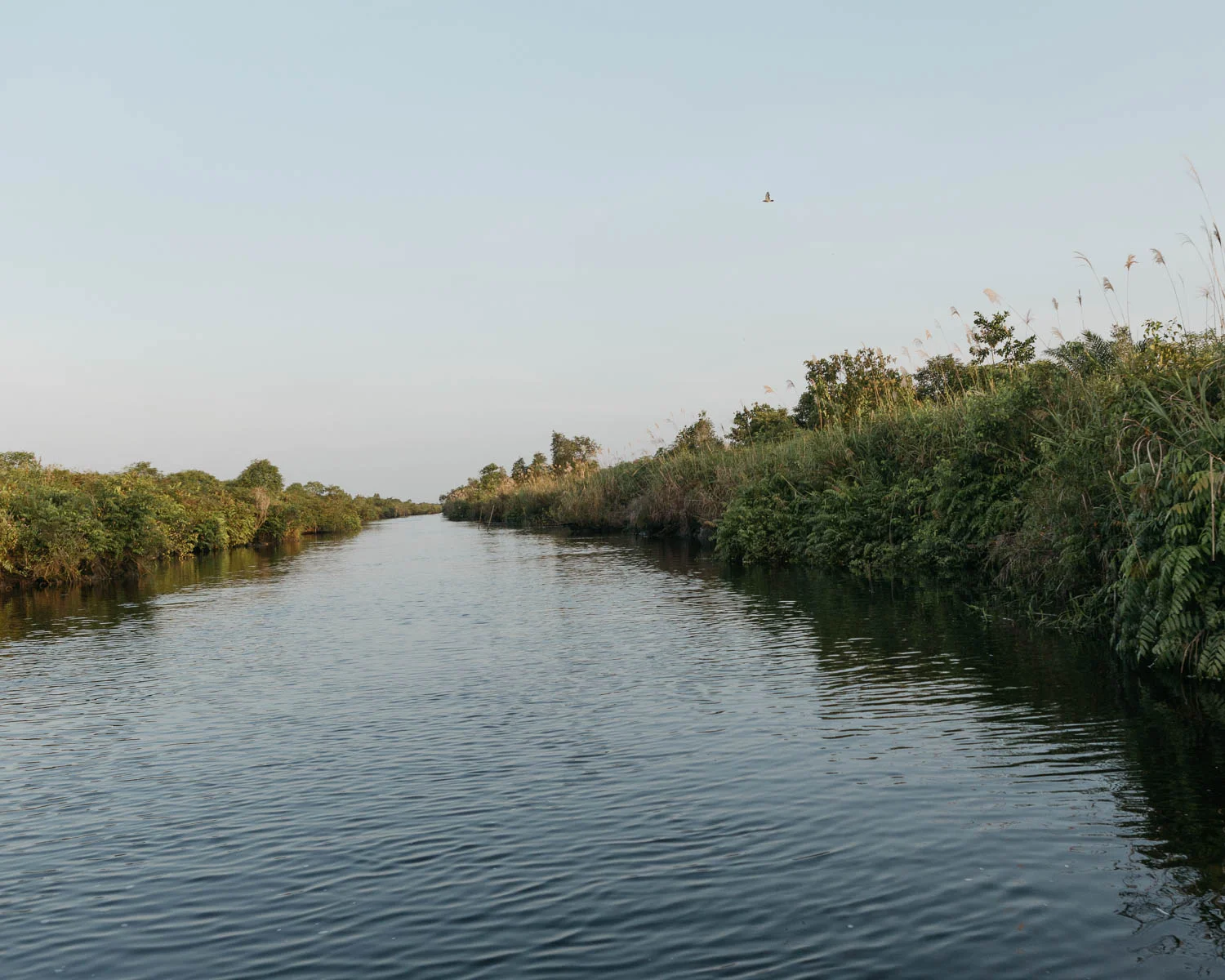 The canal that connects Mentaya and Katingan River. The land of PT Rimba Makmur Utama located between these two rivers.