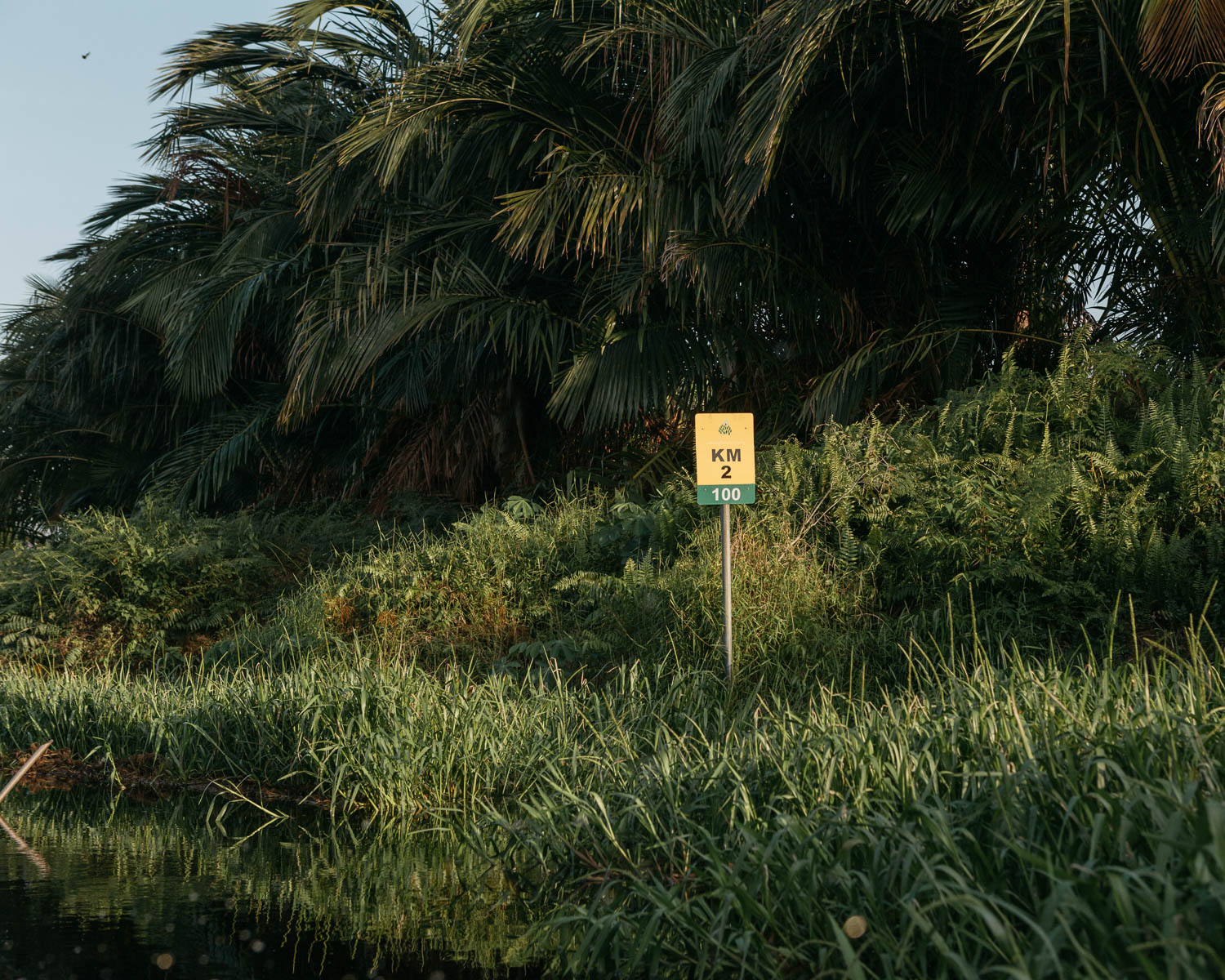  A distance board along the bank of the canal inside the peat swamp forest of PT Rimba Makmur Utama. 