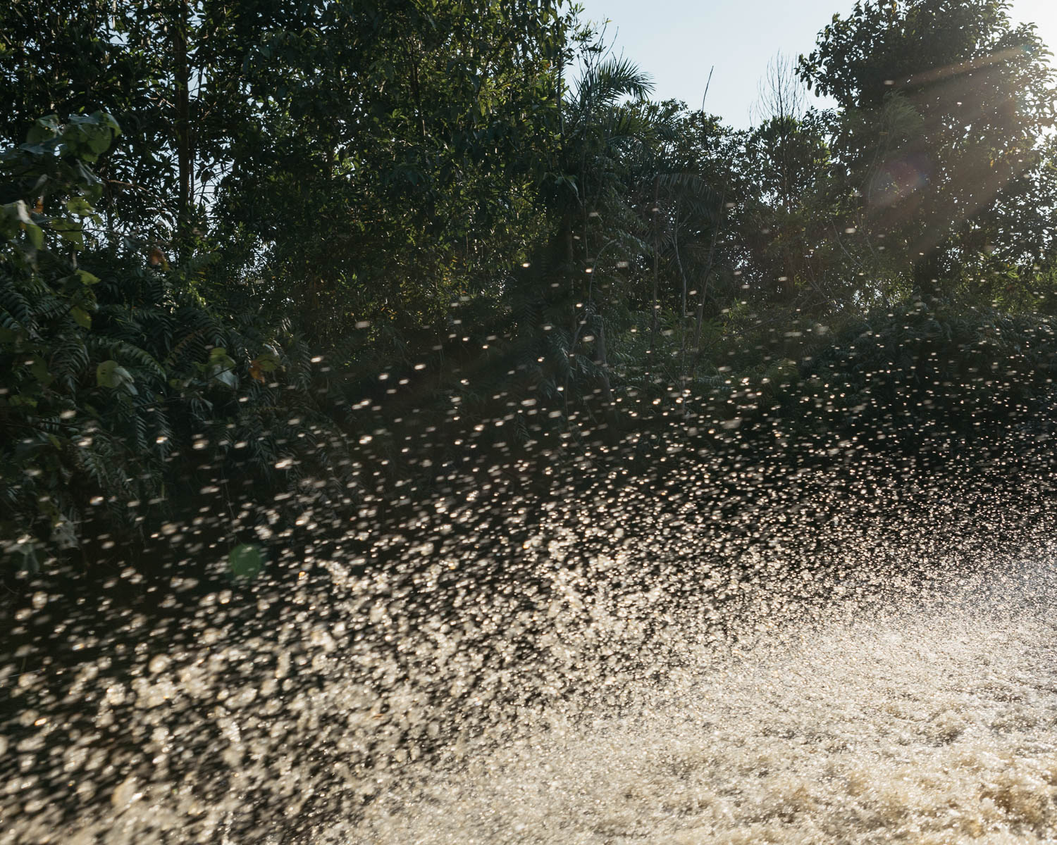  Burst of water from Katingan river as a water taxi passes. 