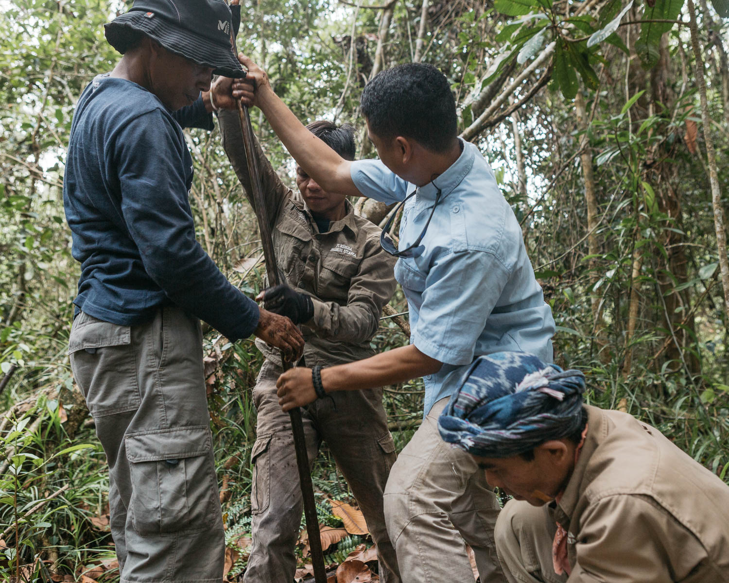  Staffs from PT Rimba Makmur Utama measure the depth of peat composition in the forest in Hantipan. In this area, more than 3 meters of peat detected before touching the real soil. 