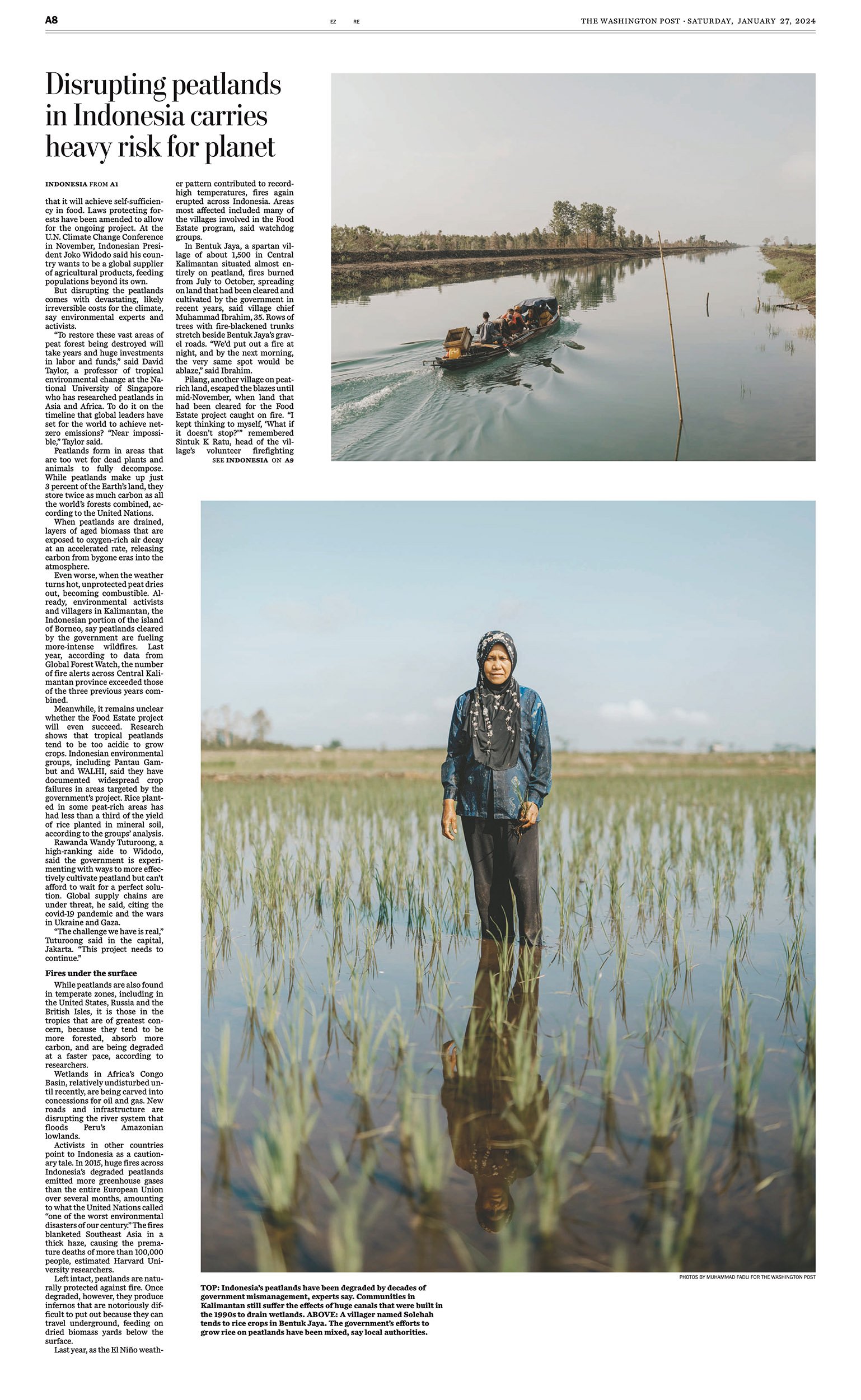  Indonesia Food Estate and Peat Swamp Destruction in The Washington Post, January 2024 