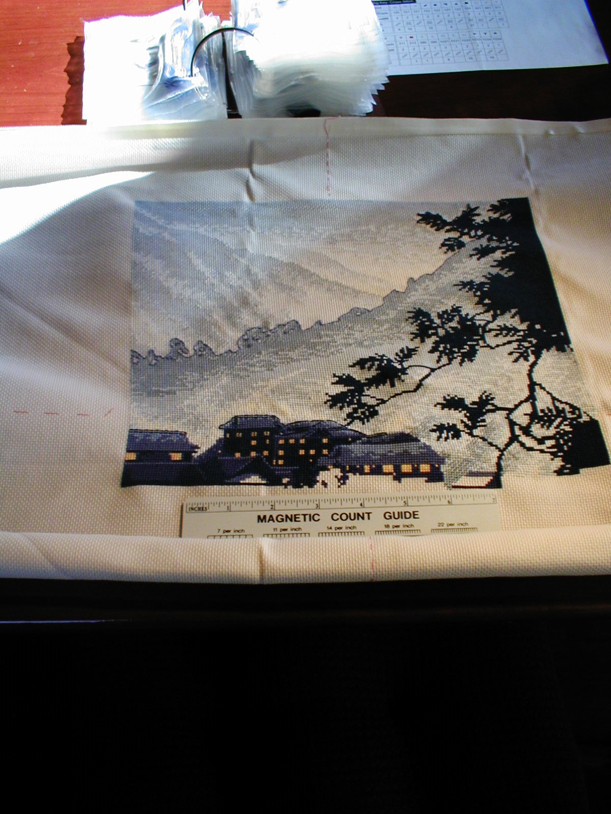 Japanese Spa 1-11-2011 (2).JPG