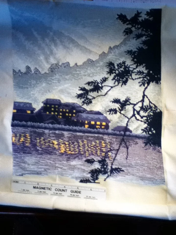 Japanese Spa 3-6-2011.JPG