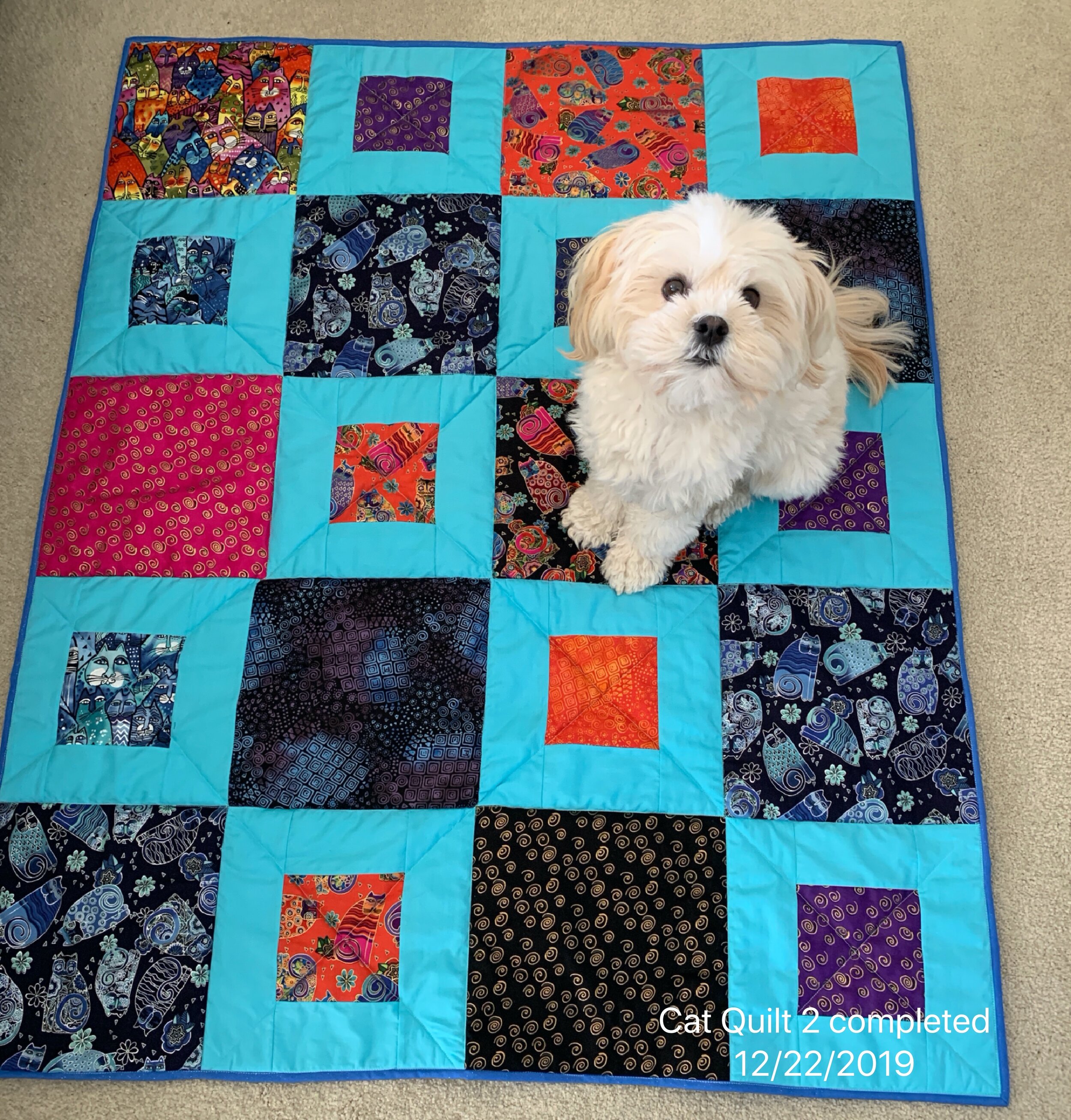 Cat Quilt 2 with Callie.jpg