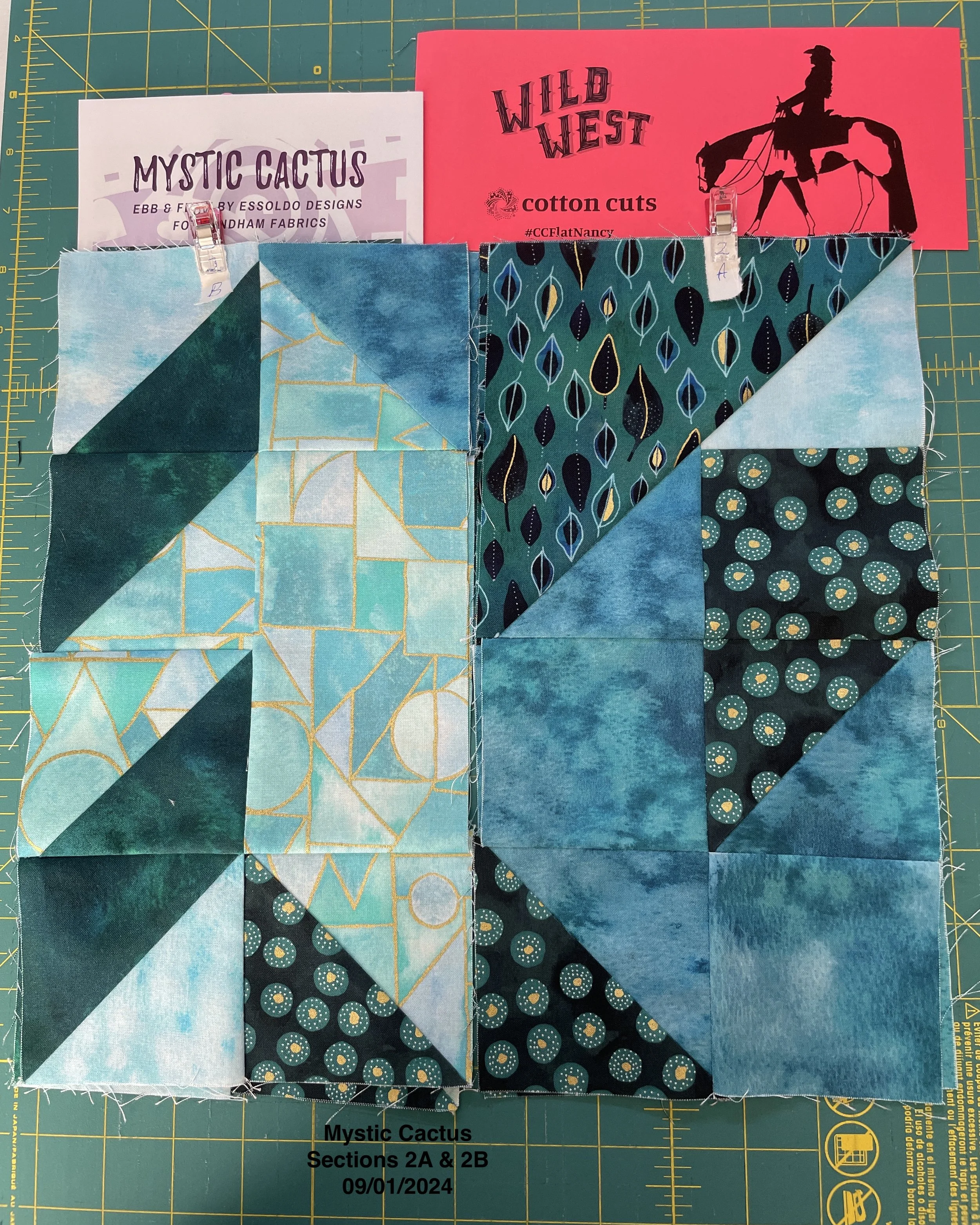 Mystic Cactus Sections 2A & 2B.JPG