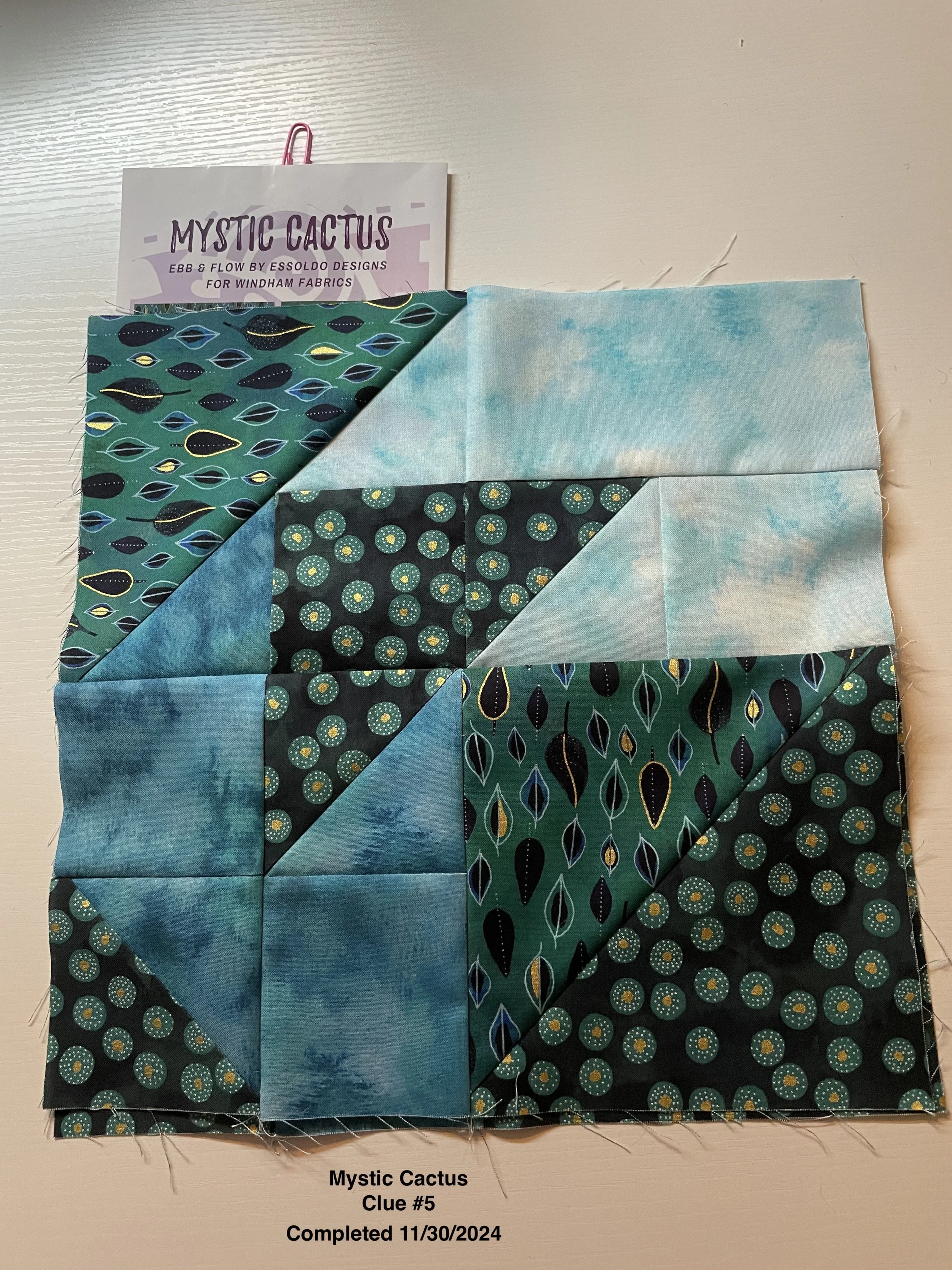 Clue 5 Mystic Cactus.JPG