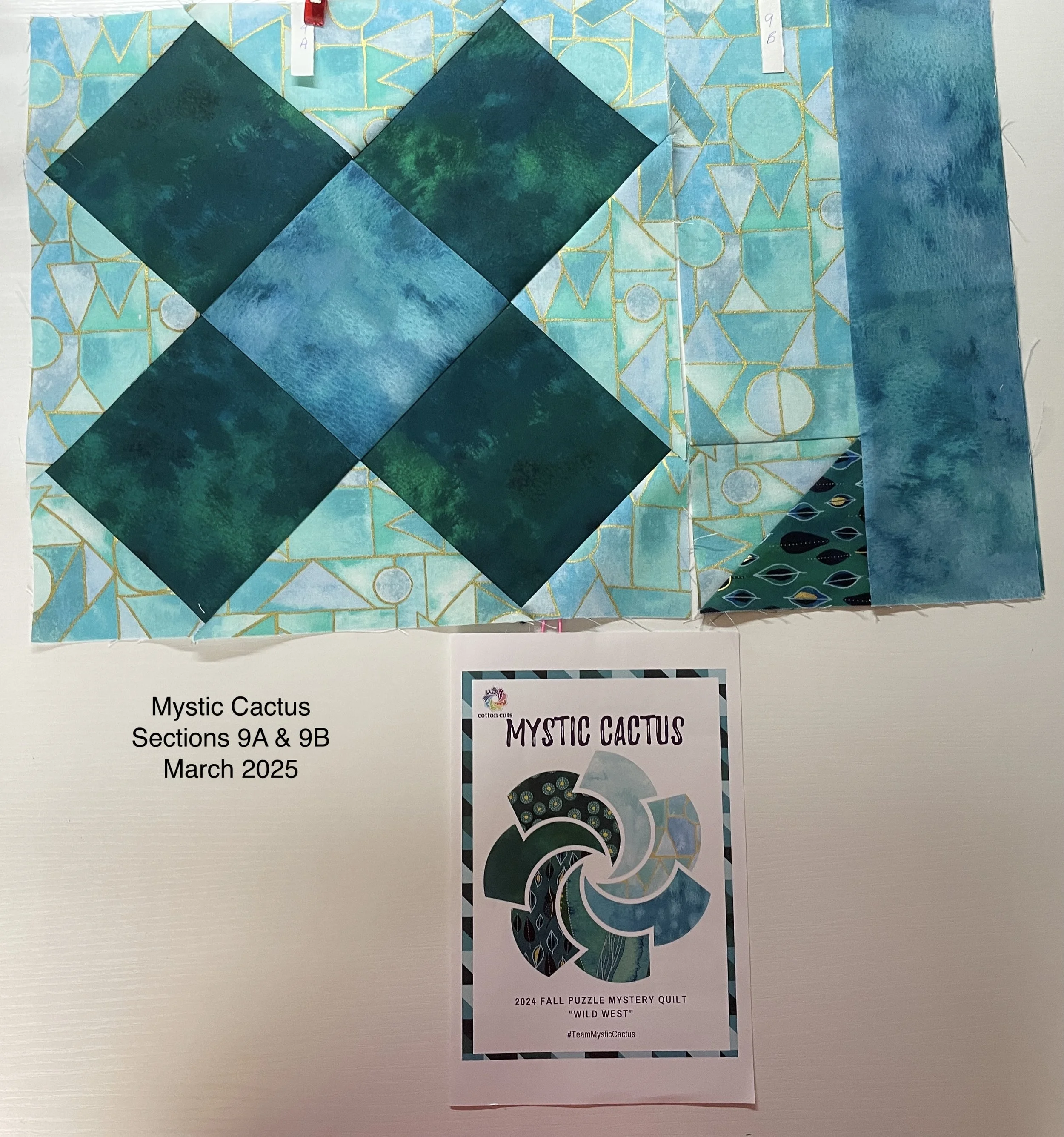 Mystic Cactus Sections 9A & 9B.JPG