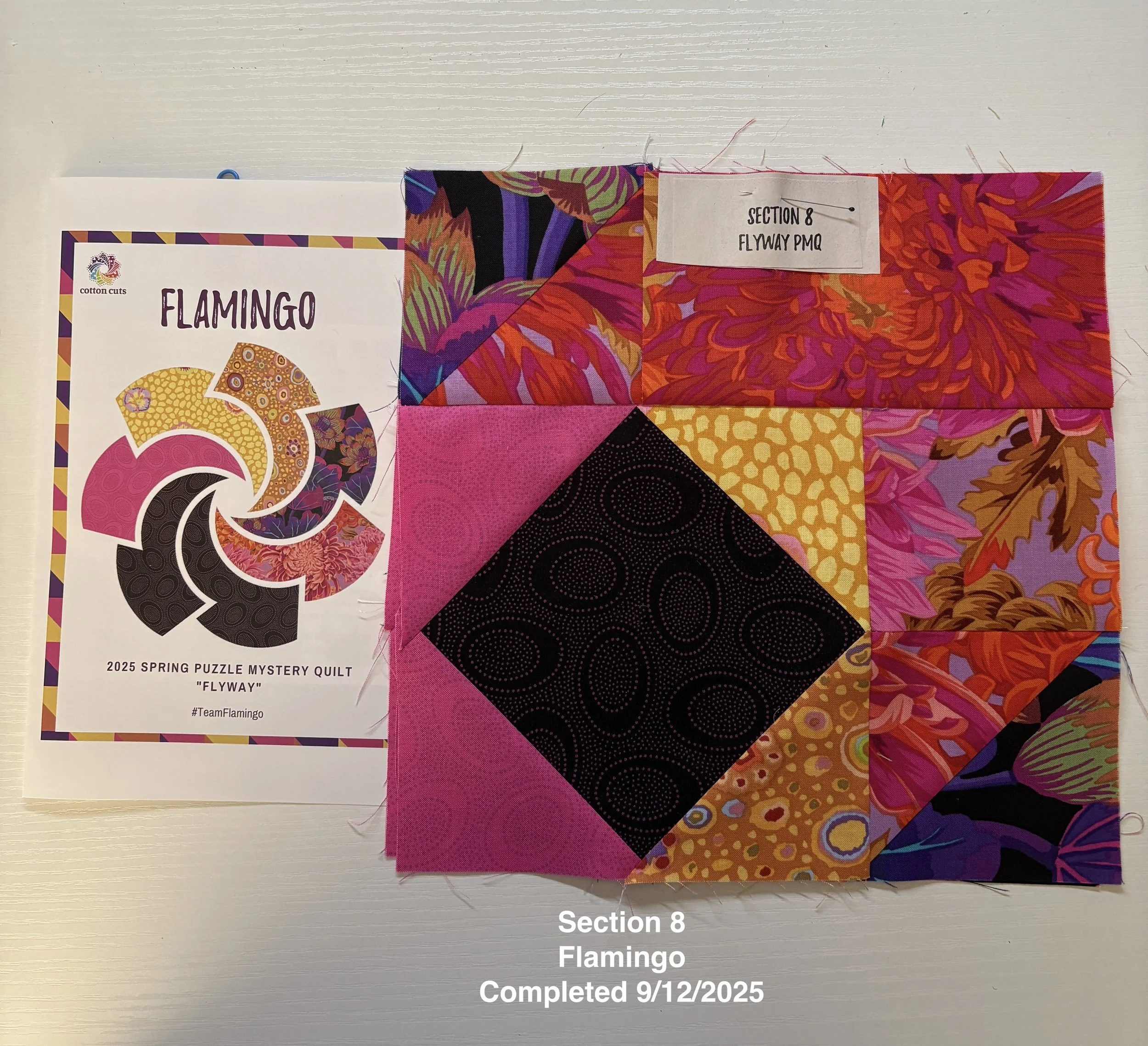 Section 8 - Flamingo.JPG