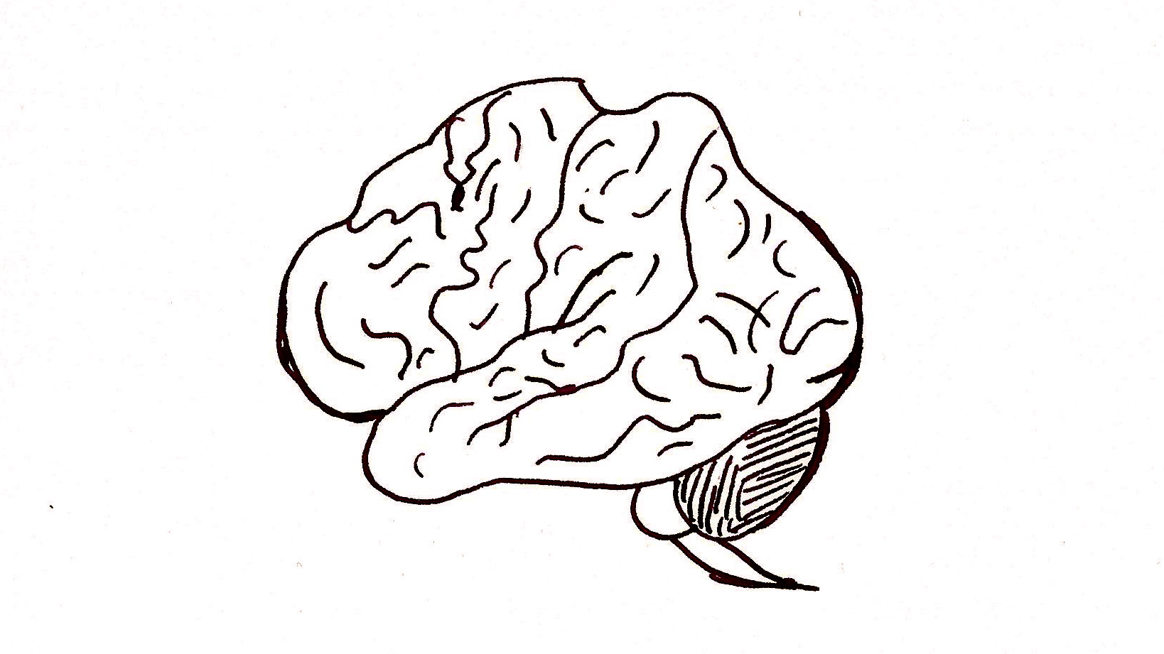 Reality from perception