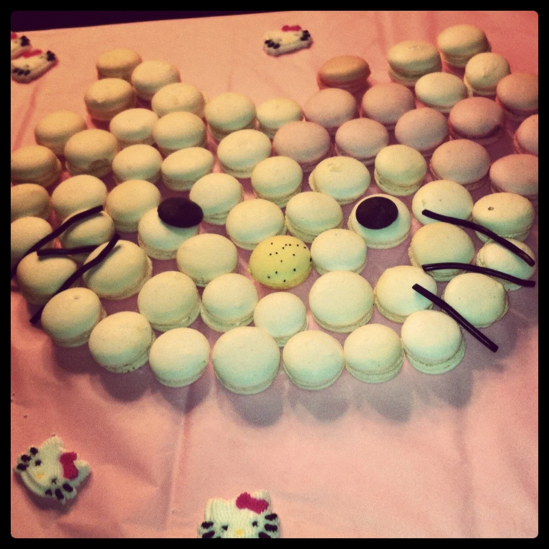 capture it: Keiley Stewart