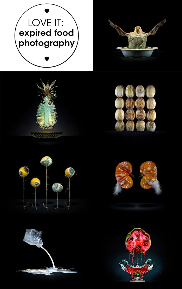 love it: expired food photography