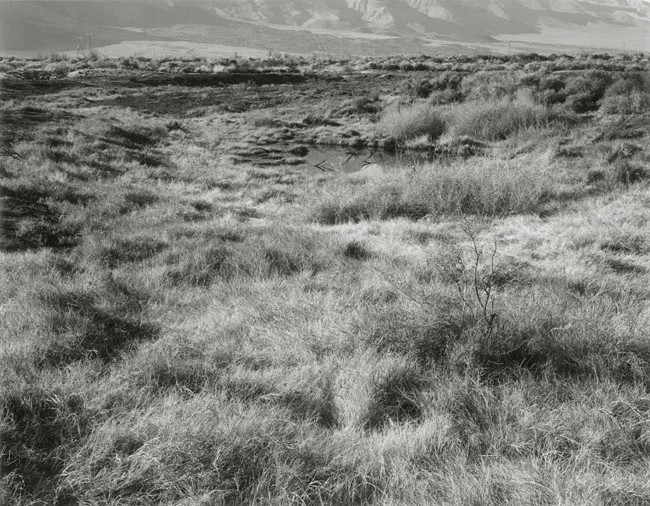 02-Richard Boutwell_Lower Owens River Project_16.jpeg