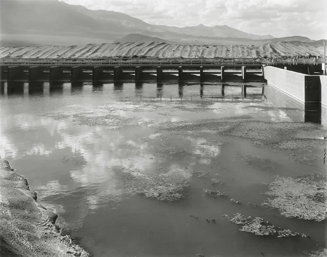 09-Richard Boutwell_Lower Owens River Project_07.jpeg