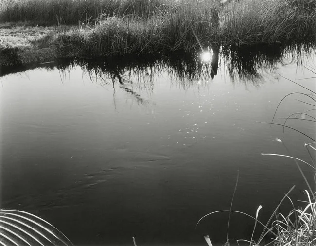 07-Richard Boutwell_Lower Owens River Project_05.jpeg