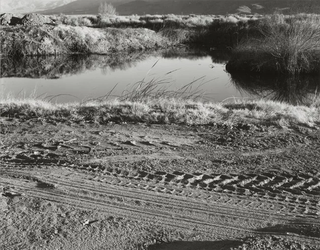 06-Richard Boutwell_Lower Owens River Project_04.jpeg