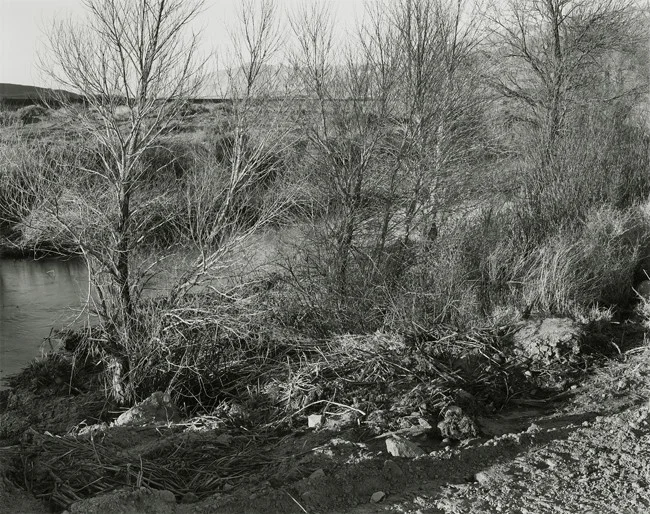 04-Richard Boutwell_Lower Owens River Project_02.jpeg