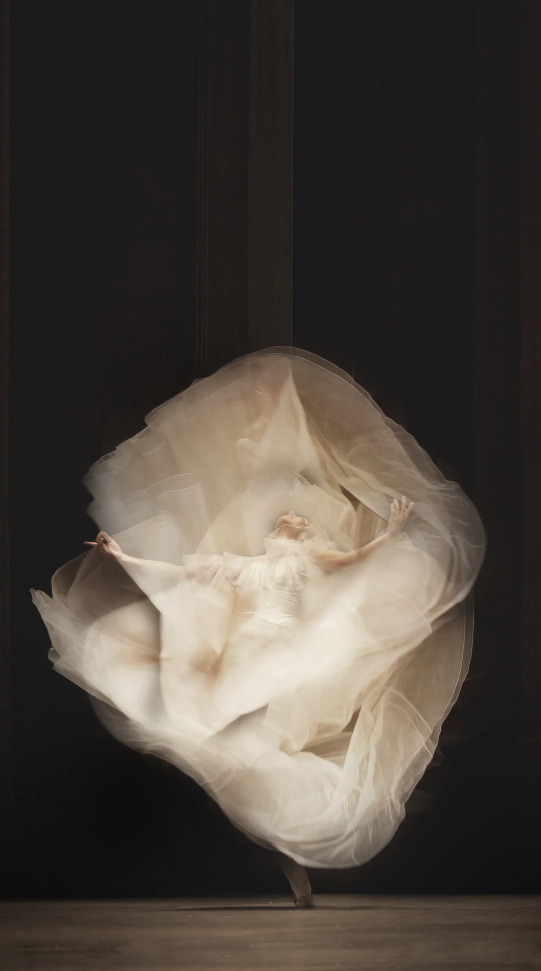 The Lady of the Camellias · Gudrun Bojesen