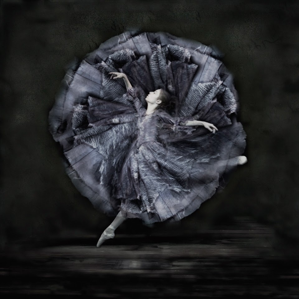 "Lady of the Camellias IX" · Lena-Maria Gruber