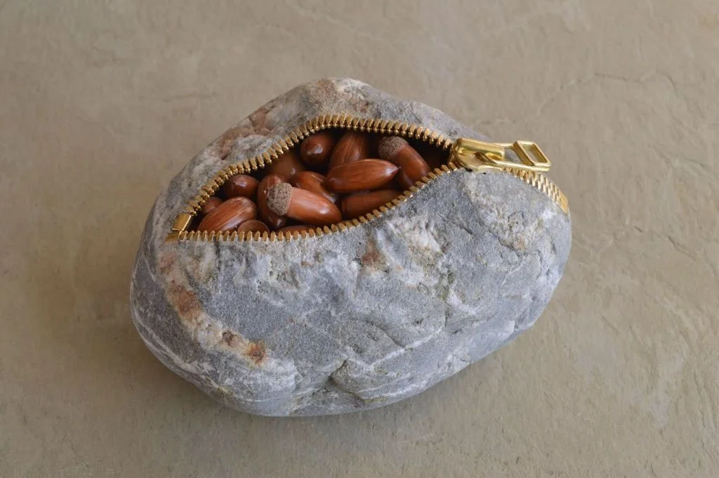 Fossils of Autum