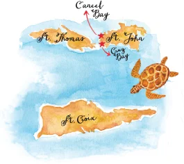 island1.jpg