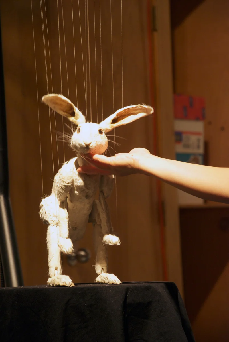 rabbit2.jpg