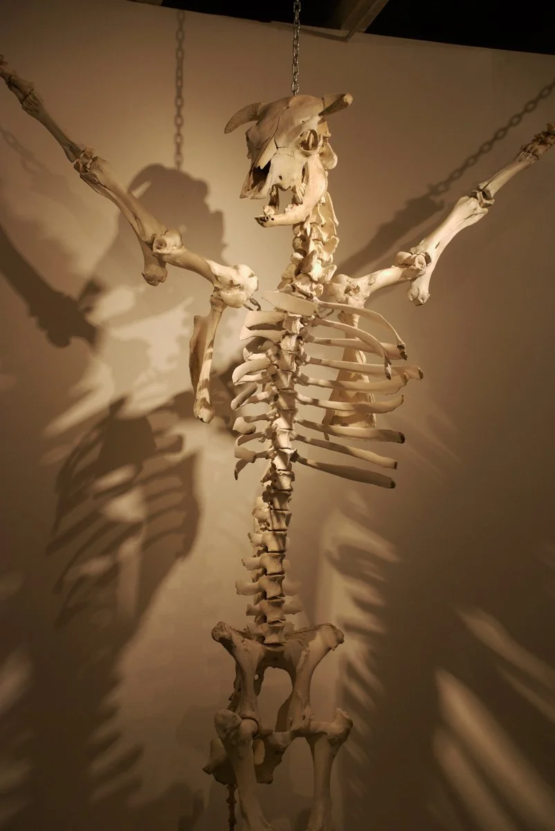 22_crucifiedCow_detail2.jpeg