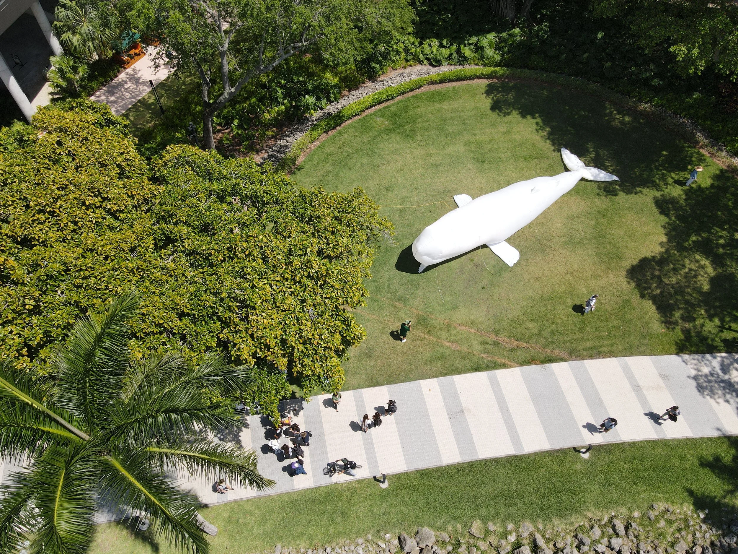DJI_0010.JPG