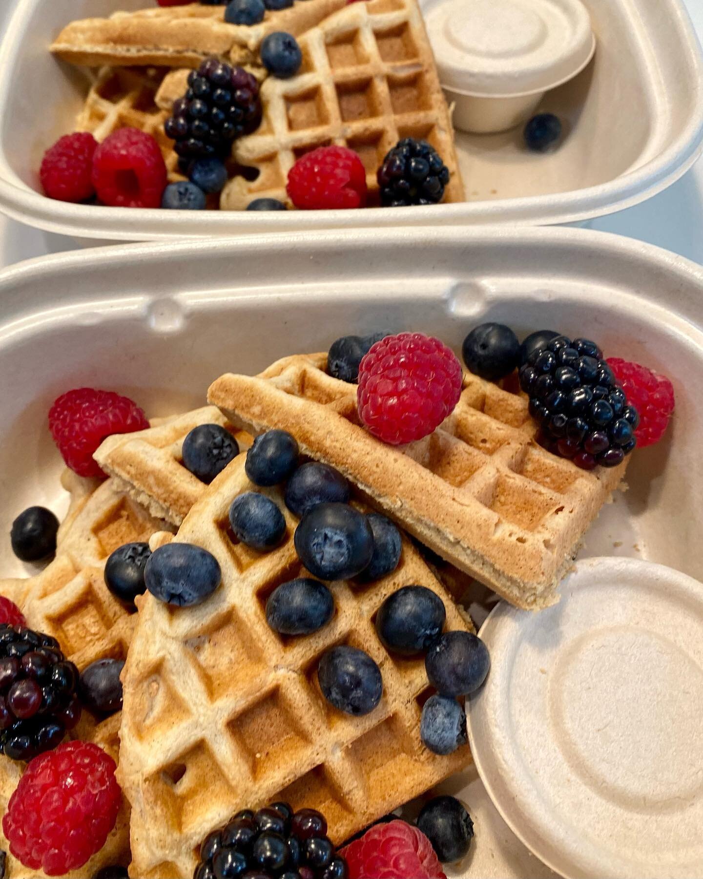 Vanilla Oat Flour Waffles 🧇 made with pastured eggs 🪺 and almond milk 🥛topped with market berries 🫐 dusted with monkfruit ❄️ Vermont maple syrup on the side 🌲