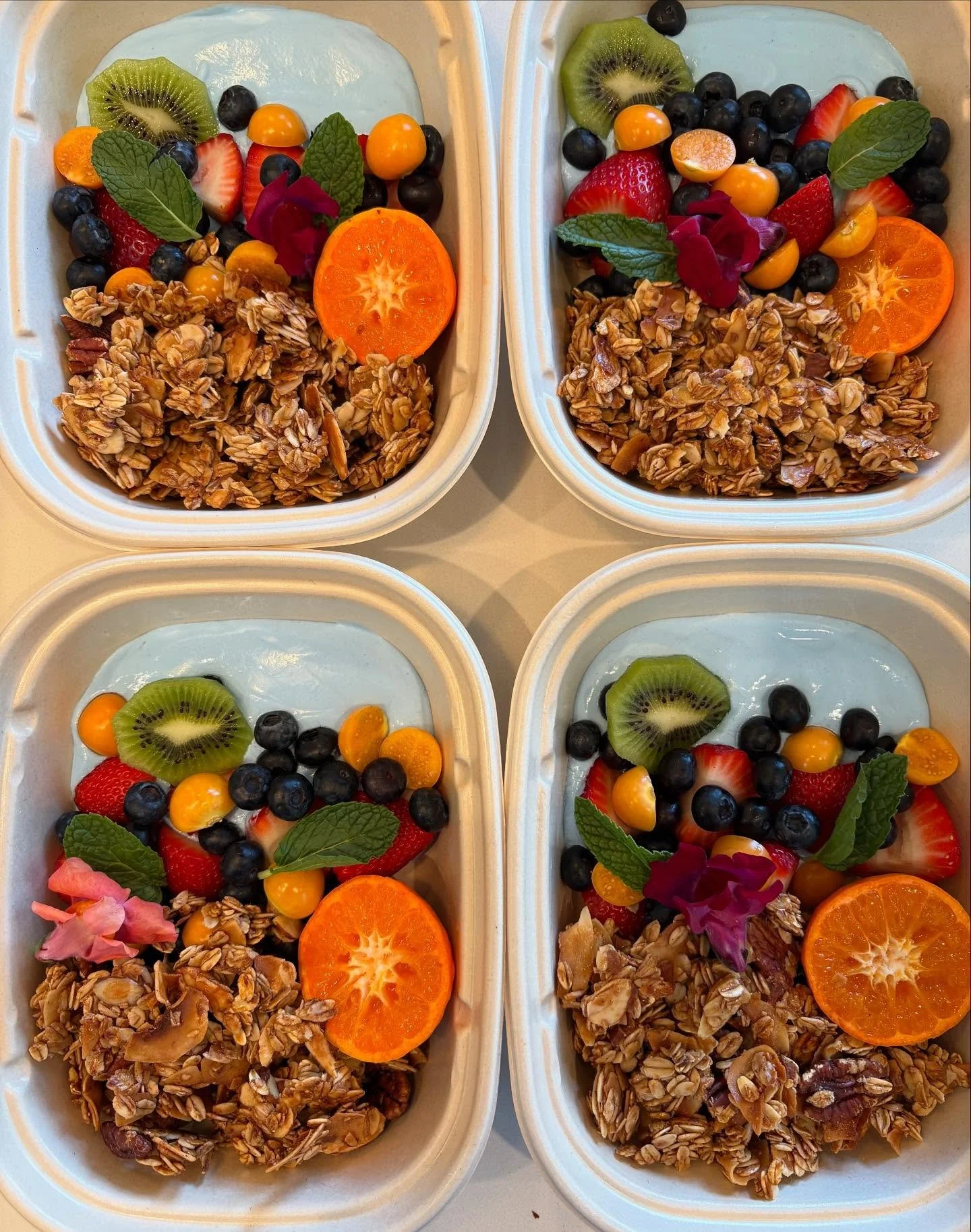 Blue majik coconut yogurt bowls with maple coconut granola 🫐, or pastured egg breakfast tacos with @sietefoods jalape&ntilde;o hot sauce and @eatcoyotas tortillas 🌮?